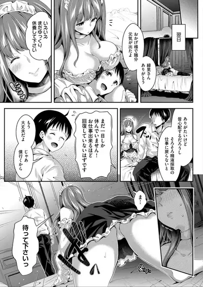 Harem Maid No Damedame Ecchi