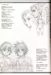 (C70) [Niku Ringo (Kakugari Kyoudai)] NIPPON Onna HEROINE 2 (Darkstalkers, Street Fighter II) [English] {Desudesu}