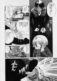 [Persona] Nikuyoku Shidou - Lust - Instruction