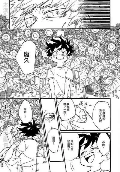 (Douyara Deban no Youda! 17) [Ultimate safaripark (Horiuchi Mochiko)] Saraba Itoshi no (Boku no Hero Academia) [Chinese]