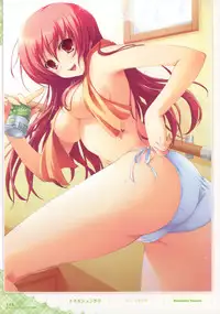 Dengeki Otona no Moeoh Illustrations Fetish