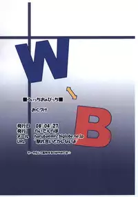 (COMIC1☆2) [Raiden Labo (Raiden)] Witch or Bitch? (Touhou Project)