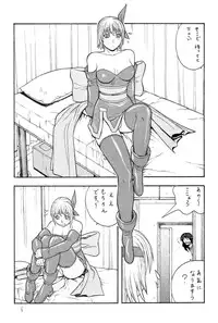 (C61) [From Japan (Aki Kyouma)] FIGHTERS GIGAMIX FGM Vol.14 (Dead or Alive)