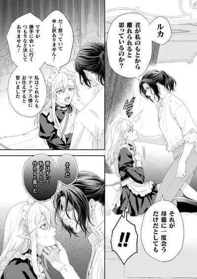 Shuujin wa Hiroware Elf o Midareotoshitai