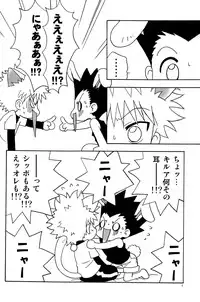 [Kurikomi (Adachi Himiko)] Haruneko Usagi Tsukiyo (Hunter x Hunter)