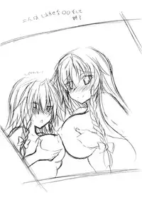 (C81) [Purple Sky] Hong Meirin Vol.2 (Touhou Project)