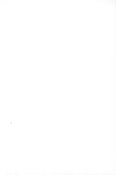 (COMITIA138) [MIEOW (Rustle)] Succubus