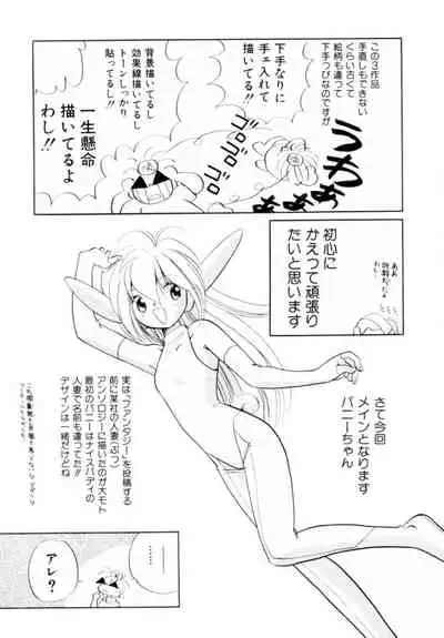 [Hikaru Nagareboshi] Seigi No Mikata Mo Raku Zya Nai