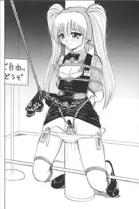 (C54) [Studio Wallaby (Various)] VITAMIN-B5 1/2 Ruri Ruri Naisho no Arbeit Nikki (Martian Successor Nadesico)