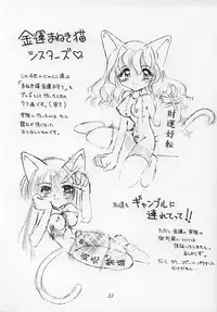 (C51) [Nekomimi Sorcery (Masamineko)] Ebaneko (Neon Genesis Evangelion)