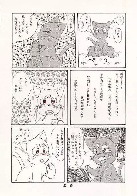 だって猫なんだモン！