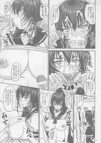 (C74) [Nozarashi (Nozarashi Satoru)] Do-S na Hime wa Kegasareru Haji no San - Kichiku no Utage