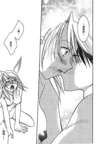 [Kikawa aka] Fullmetal Alchemist 6 (鋼の錬金術師) [Chinese]