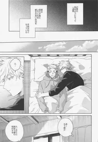 Lovely Hallucination