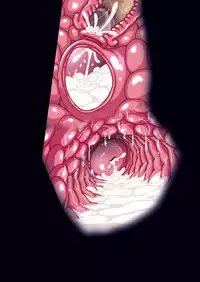 [Studio Mizuyokan (Higashitotsuka Raisuta)] SECOND VIRGIN DL (Go! Princess PreCure)