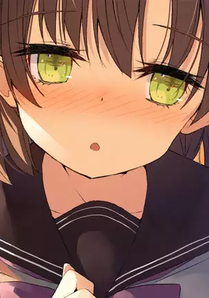 Ore no Kanojo ni wa Nekomimi ga Haeteiru