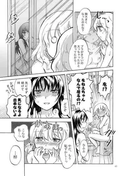 Lily Girls Collection Yuri H Tanpenshuu