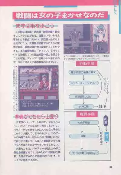 Official Alicesoft Full Completion Guide