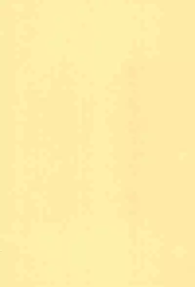 (CT29) [Ebisuyu (Funan)] Dagashiya Nite Honpen [Chinese] [零食汉化组]