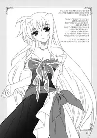 (C74) [PLUM (Kanna)] Mahou Shoujo Magical SEED OTHER (Mahou Shoujo Lyrical Nanoha) [English] [Slayerjammer]