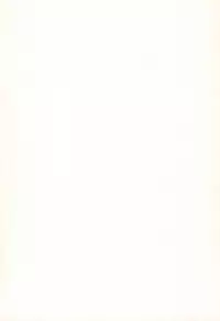 (Mimiket 22) [Nyaa. to Hidamari (Takamoto Akisa)] Neko Yome - Neko no Oyome-san (Touhou Project)