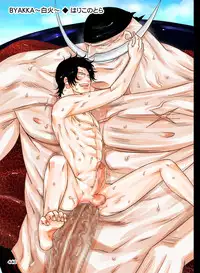 [Hariko no Tora (Midoh Torako)] BYAKKA (One Piece) [Digital]