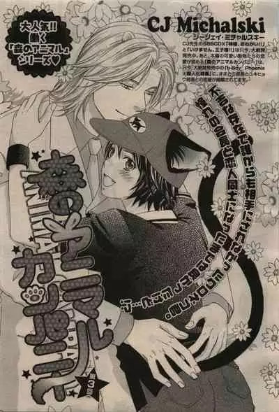 BE・BOY GOLD 2009-04