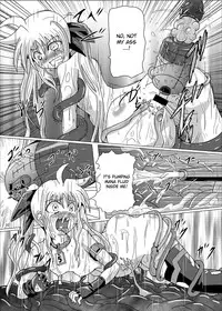 [Kurodama-ya (Akadama)] Kurenai no Syo -Fate hen- | The Crimson Book ~Fate side~ (Mahou Shoujo Lyrical Nanoha) [English] [desudesu]
