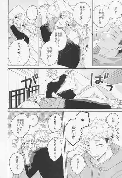 Lovely Hallucination