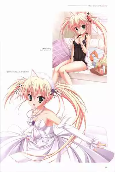 Hatsuyuki Sakura Visual Fanbook