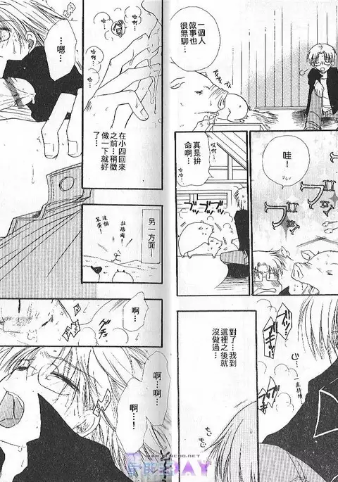 ANIMAL PLAY | 襲擊