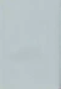 [Rabbit Company (Kotogi Raura)] Stale World V (Magic Knight Rayearth)