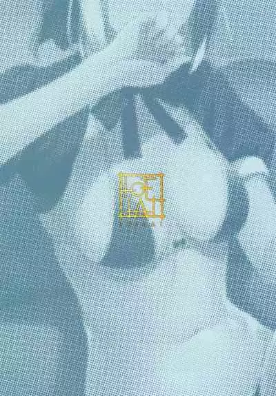 (C94) [LOFLAT (Prime)] Chaldea Soap SSS-kyuu Gohoushi Maid (Fate/Grand Order) [English] [wolfspitz]