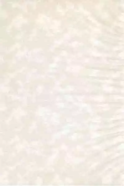 Ika-chan ni Hidoi koto suru Hon