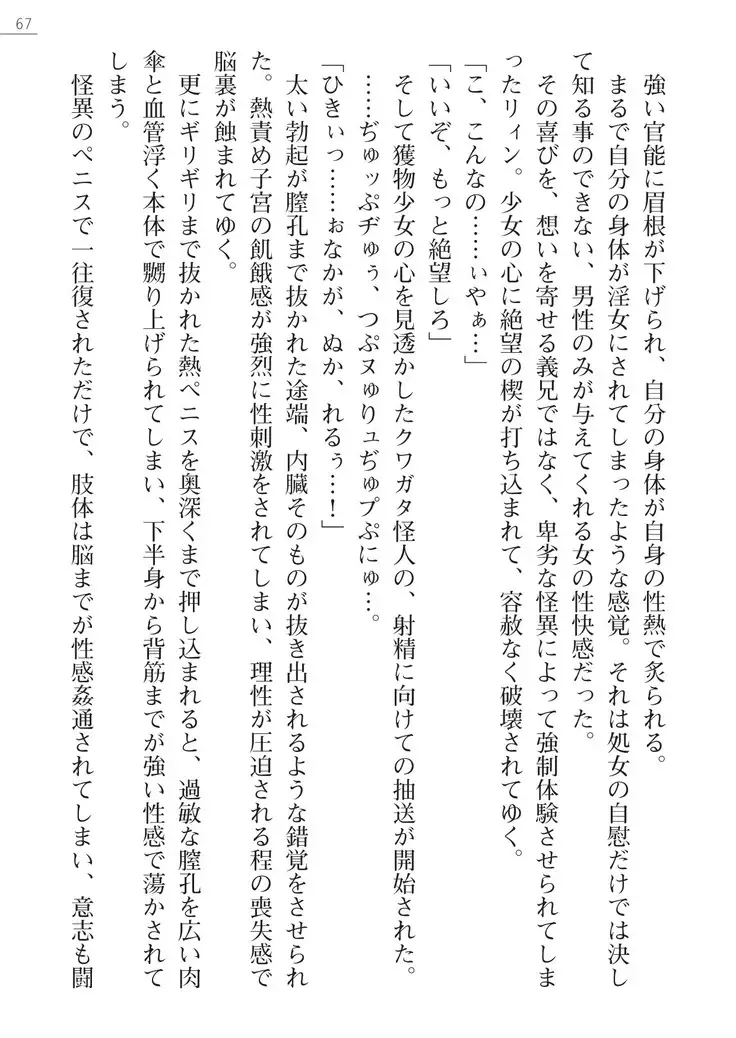 怪人ハンターリィン