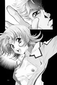 (C65)[Gensyokukan (Hakumai Gen) & Henrei-kai (Kawarajima Koh)] Gensyokukan Hatsu Hakumai Shido 2 RICE-SEED 2 (Kidou Senshi Gundam SEED)