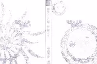 [Kotoyoshi Yumisuke] Doukoku no Taiyou Koukotsu no Tsuki | Sun of Lament, Moon of Ecstasy [English] [Rinruririn + Funeral of Smiles, SMDC-Translations]