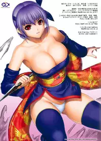 (C81) [Hellabunna (Iruma Kamiri)] H.SAS 04 (Dead or Alive) [Colorized]