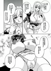 (C70) [Narimasuya (Akiba Wataru)] DOLLS DIARY 6