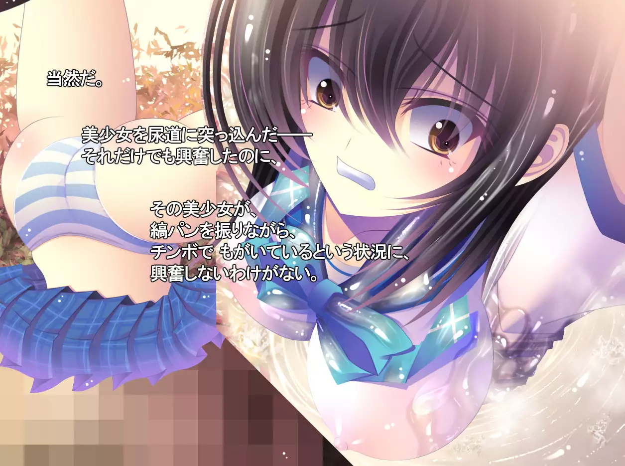 yabure, bakunyu chochichi naedoko ni, benki ni Daraku To sa reru hiroin!~ Hime ￮ setsuna ~