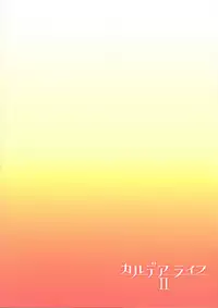 (C95) [Hirojuu Renshuuchou (Hiroya)] Chaldea Life II (Fate/Grand Order)