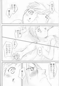 [Nenone-ya (Nenone Miya)] Taion (Fullmetal Alchemist)