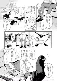 comic marginal vol.11