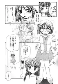 [Usami Wataru] Heartfull Pink