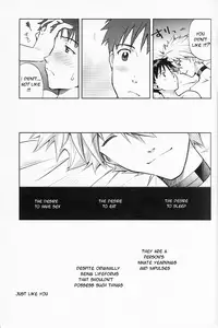 (Kimi to no Rendan 3) [Getsumen-Spiral (Mayama Satori)] Sexuality no Risouron (Neon Genesis Evangelion) [English] [TyroLuuki]