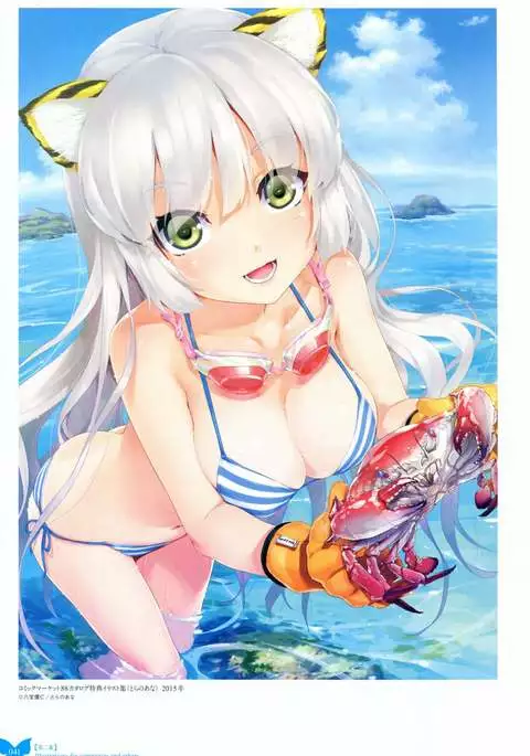 Happoubi Jin Gashuu Hoteri