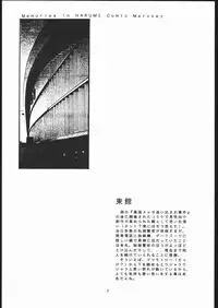 (CSP2) [Nawanoren (Various)] NN chop (Various)