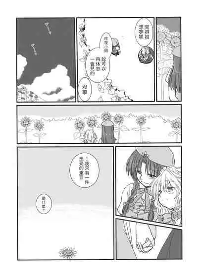 Touhou Kouginmu 2 | 東方紅銀夢2