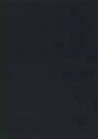 (C73) [Toko-ya (HEIZO, Kitoen)] Yasashii Uta 2 (Breath of Fire II)