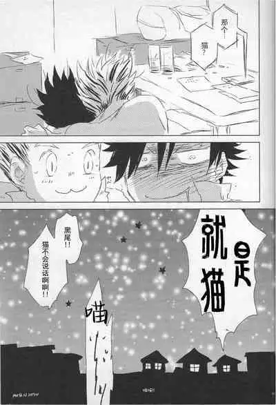 「Hyaena、Sunday」Maybe You Are The Cat In The Paper Bag | 你大概是纸袋里的猫